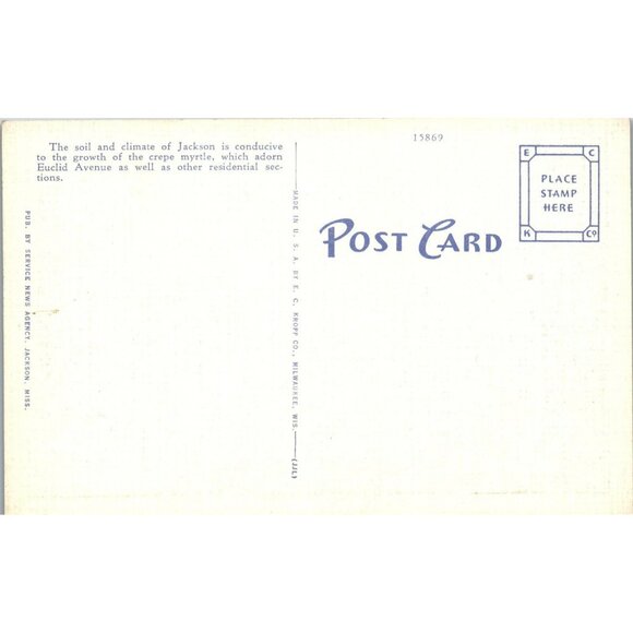 Postcard,Vintage, Euclid Ave, Jackson, MS, Crepe Myrtle, 1920's (PC82) - Picture 2 of 2